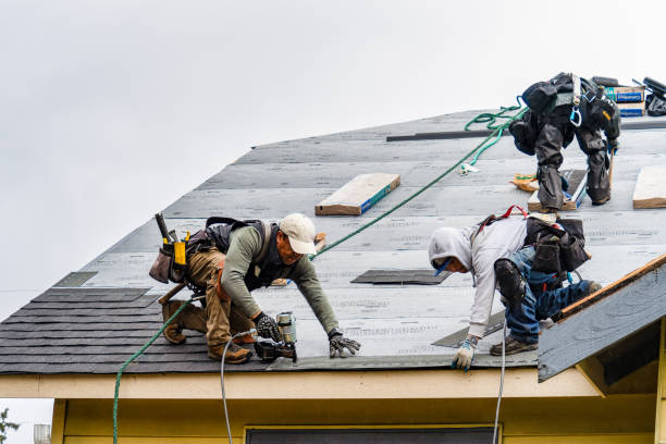 Professional Storm Damage Roof Repair technician working in Hudson, NC